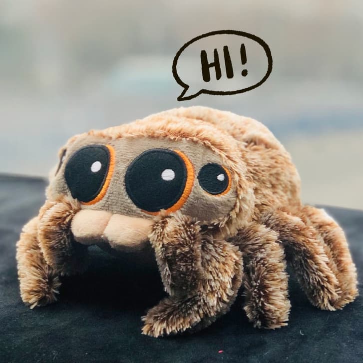 16CM Brinquedo de pelúcia aranha/Lucas insect jumping spider urso doll Boneca de pelúcia infantil/Lucas Aranha de pelúcia boneca de roblox brinquedo Bebe reborn