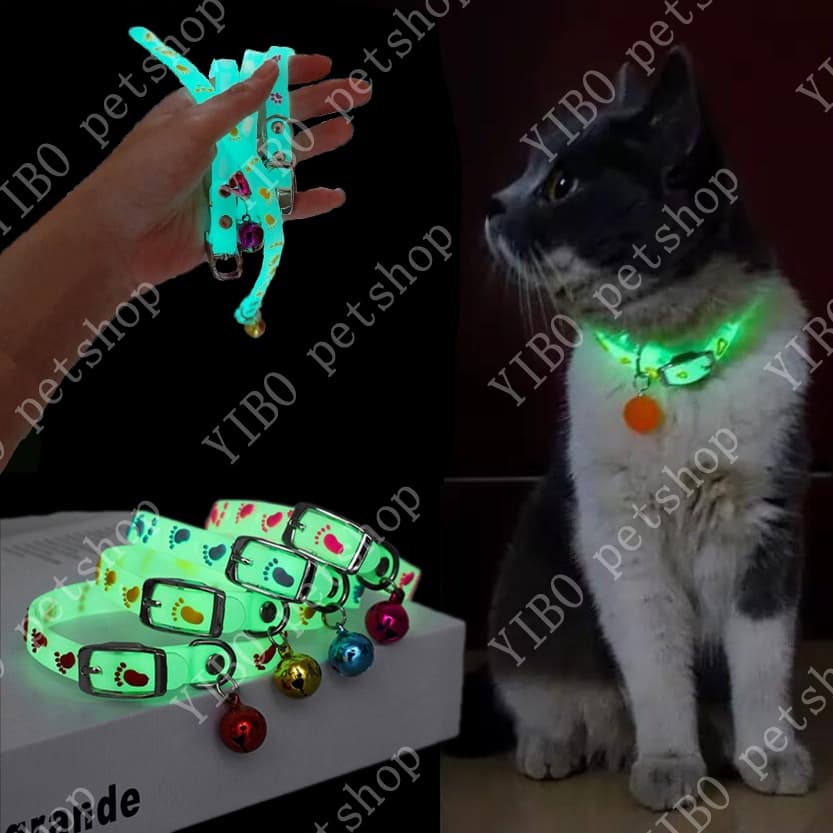 Coleira Neon Brilha No Escuro Noturna Com Pingente Sininho Para Gato Cachorro Pet Luminosa
