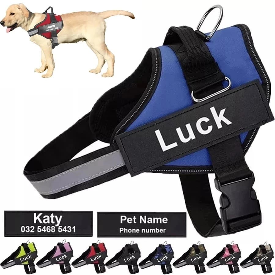 Arreios Personalizados Para Cães Sem PULL Colete Refletivo Respirável Pequenos E Grandes Acessórios Treinamento De Caminhada Ao Ar Livre