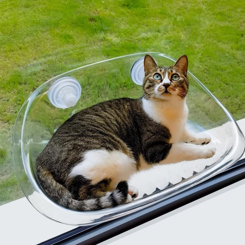 Cama para Gato Universal para Quatro Estações, Sofá para Animais de Estimação, Cama Suspensa de Verão com Ventosa, Cama