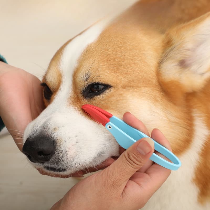 Escova de Limpeza de Olhos de Cachorro Pet Tear Mark Escova de Cera de Cachorro Pet Tear Mark Escova de Limpeza de Olhos Clip Escova Macia