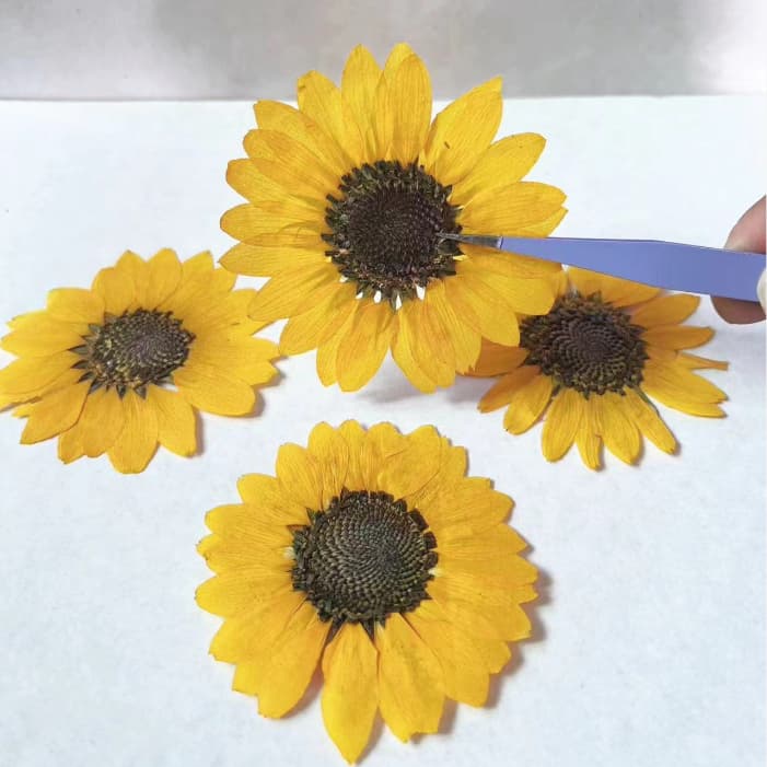 2 Pcs Capa De Telefone Girassol Marcador DIY