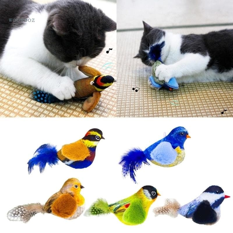 brinquedos de animais de estimação, brinquedos de gatos pendurados que simulam chamadas de pássaros