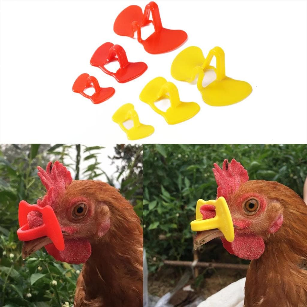 20 Peças Óculos De Frango De Plástico Amarelo/Vermelho Anti-Bicar Equipamento De Aves Sem Parafusos Tamanho S/M/L
