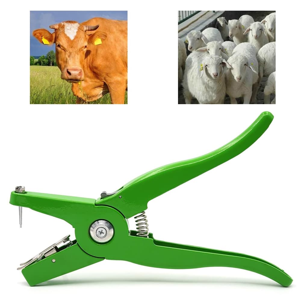 Alicate Universal para brinco de carne, alicate para brinco de ovelha bovino, verde 23 cm
