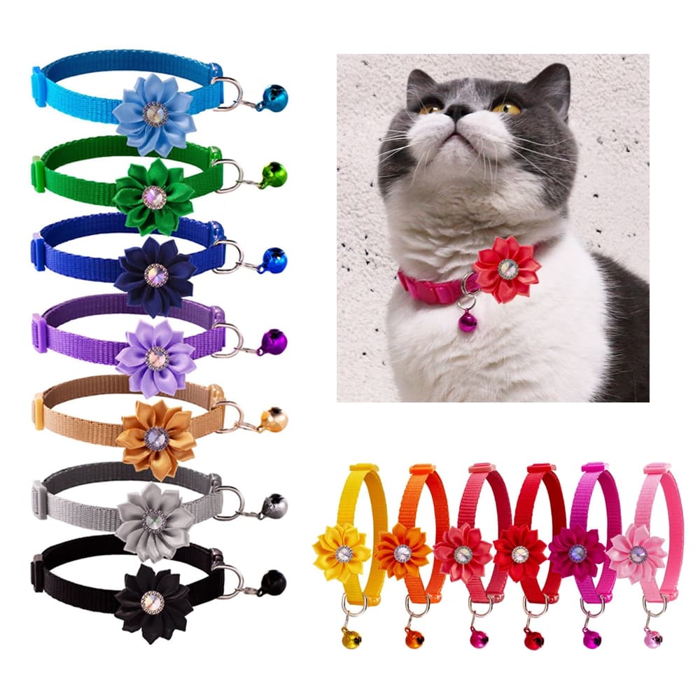 coleira para gato anti enforcamento/Coleira Cachorro Coleira Gato