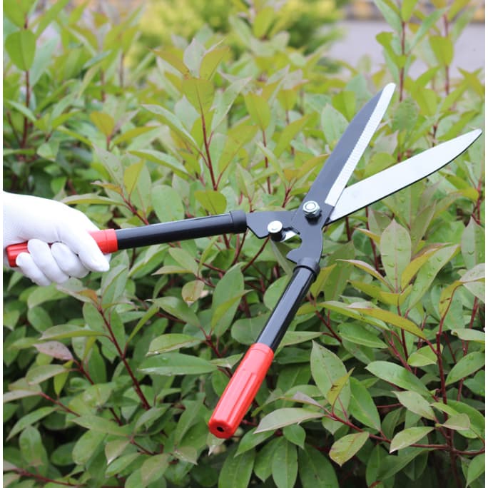 Tesoura de Poda Grama Jardim Cerca Viva Oferta Cerca-viva Tesourão Jardinagem Tesoura Grama Jardim Cerca Viva Oferta
