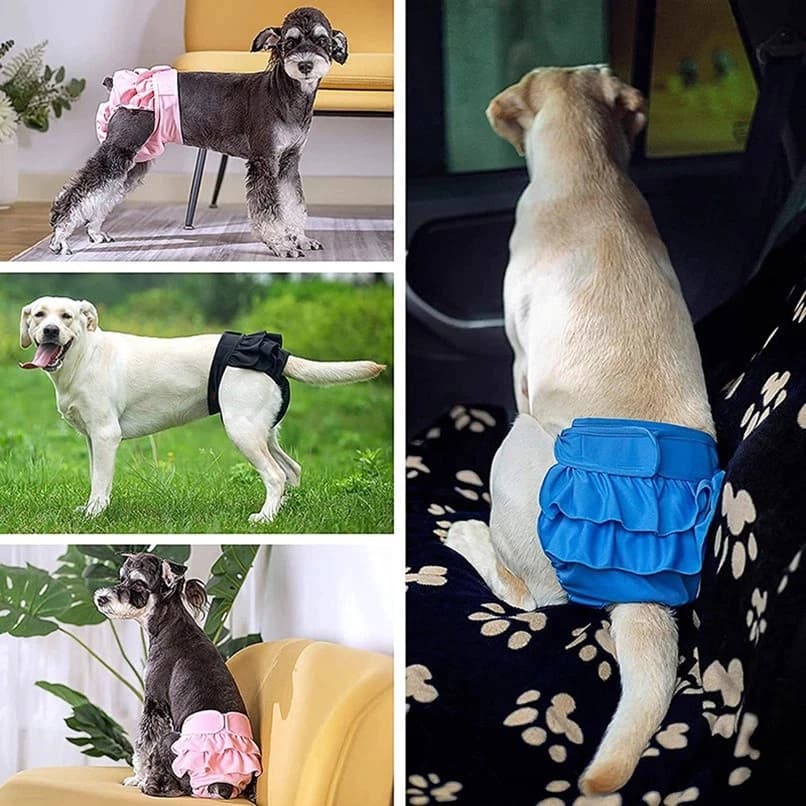 Pet Fisiológico Lavável Das Calças Da Calcinha Do Cão Para Fraldas Dos Cães Pequenos E Grandes