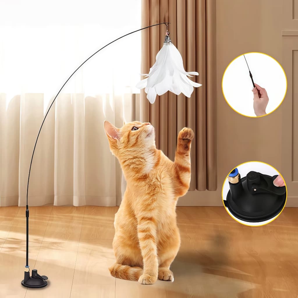 Brinquedo Interativo Varinha Pena Com Ventosa Que Fixa No Chão Para Gatos Adultos e Filhotes