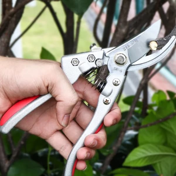 Tesoura De Poda Profissional