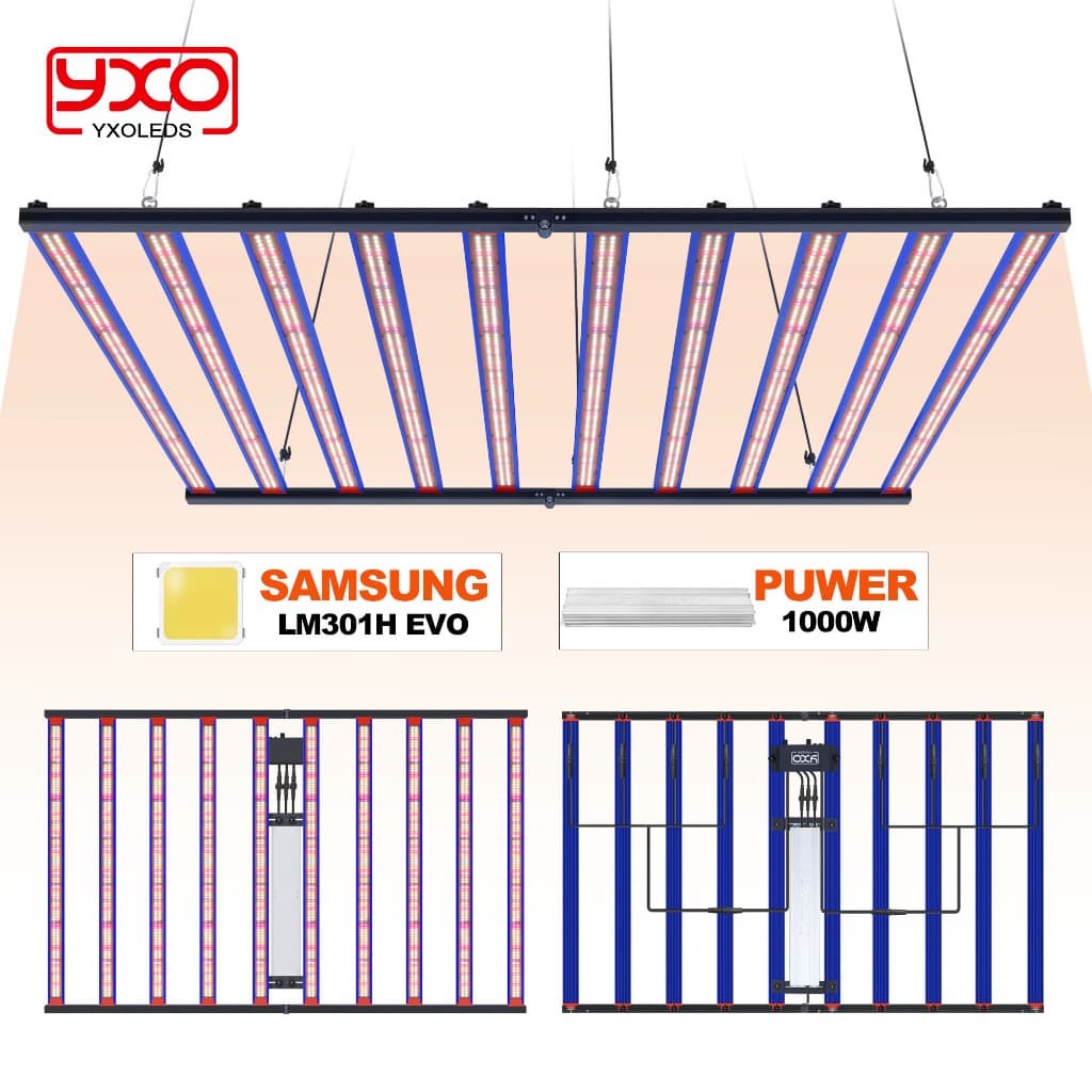 SamsungLM301H EVO 1000W LED Cresce A Luz Regulável uv ir De Crescimento De Plantas De Espectro Completo