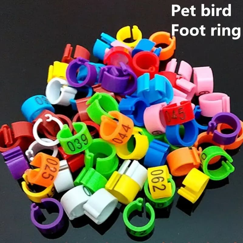 100 Peças De Anel De Pé De Calopsita E Codorna , Clipes De Pombo De Ponta Aberta De 6 Mm . Números Do Item 001 ~ 100