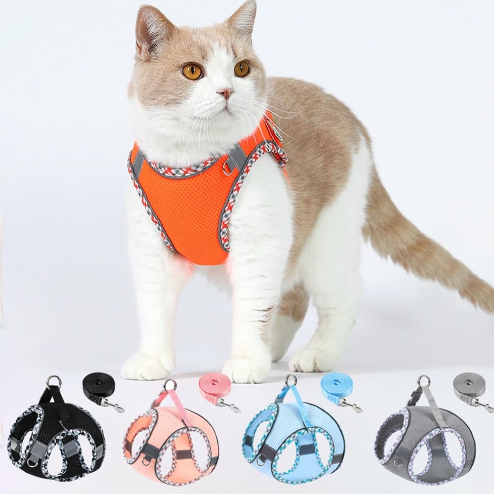 Conjunto De Arreios E Trelas Para Cães Pequenos Médios Refletivos Coletes Chihuahua Acessórios Pomeranian Suprimentos