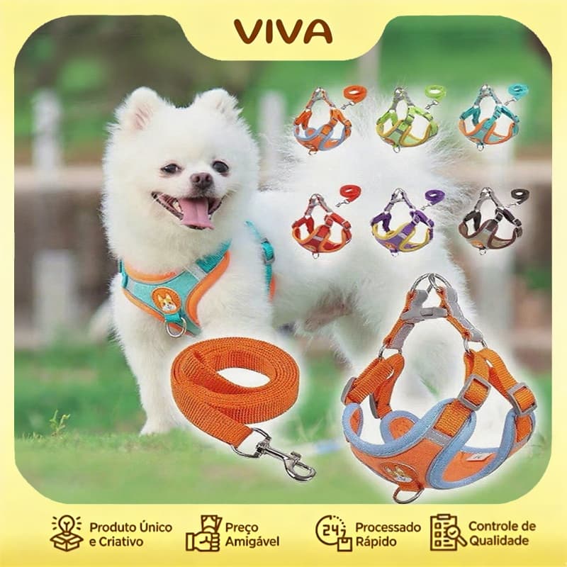 Coleira Peitoral Conjunto De Guia colete confortável para Pet cachorro pequenos e médios