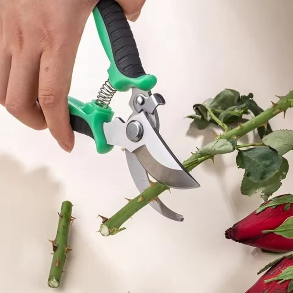Tesoura De Poda De Arbustos De Jardim , Guarnição De Plantas , Horticultura , Podador , Corte , Secateur , Bigorna , Jar