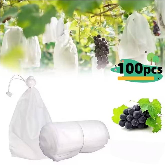 100PCS saquinhos de proteção de frutas no pé 19x29