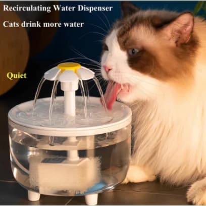 Bebedouro - Fontes Para Animais De Estimação Filtro De Circulação Automática Fonte De Água Gatos Bebedores Elé