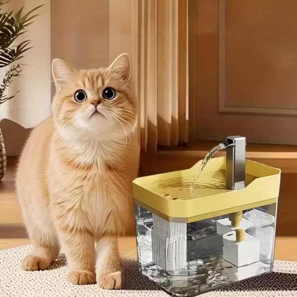Fonte Para Gatos Automática Bebedouro Purificador de Água Bivolt Com Filtro + Comedouro Promoção