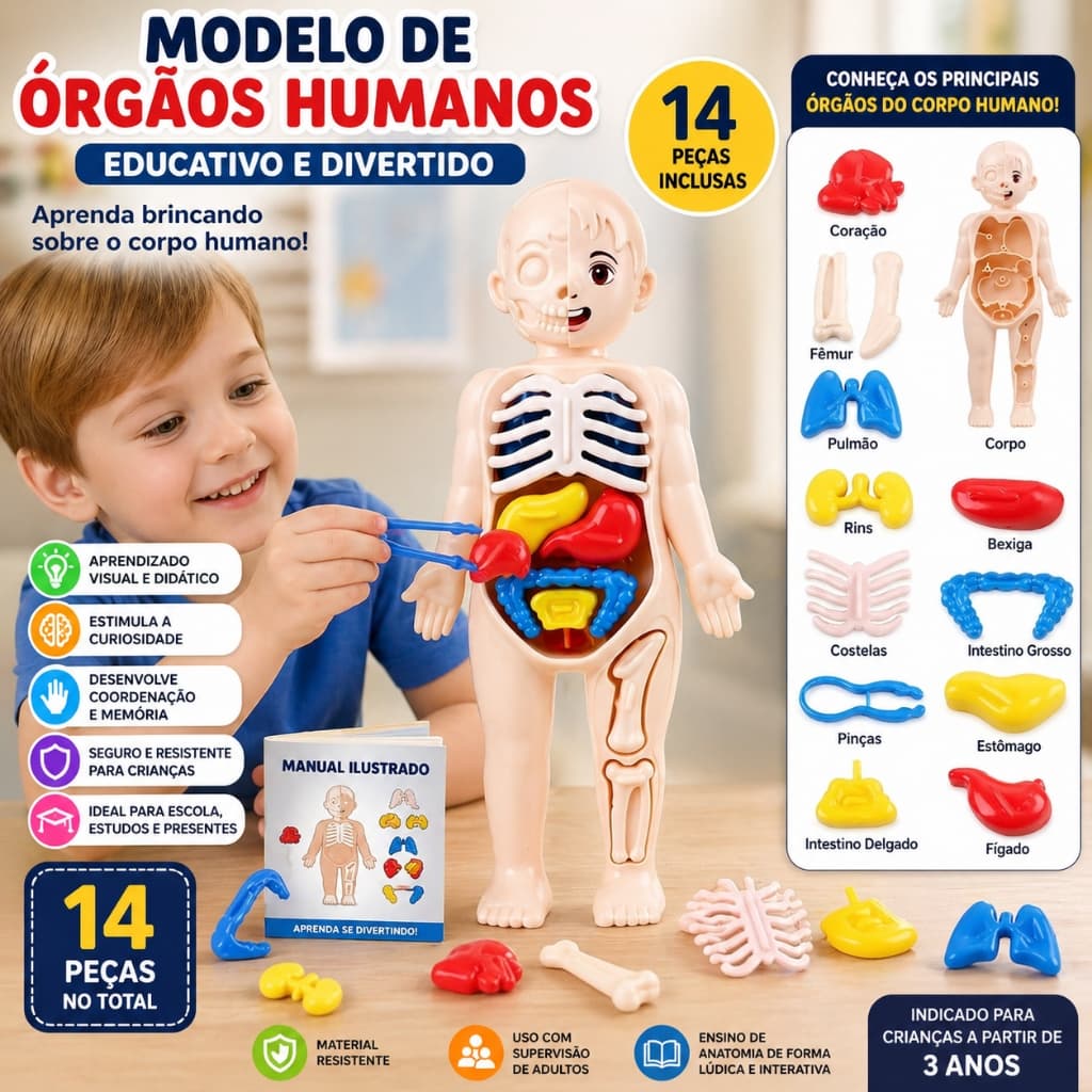 14 Peças Modelo de Órgãos Humanos Educativo Infantil Brinquedos Científico Didático para Aprender Anatomia Corpo Humano