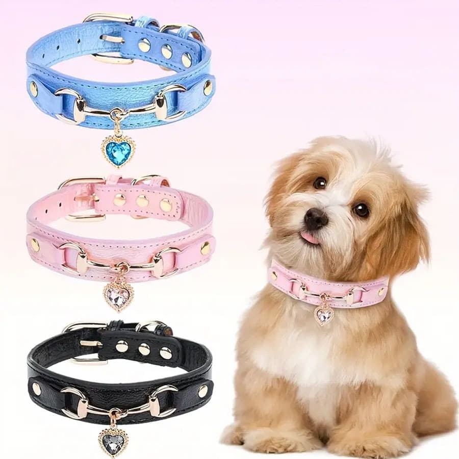 Coleira Luxuosa De Couro Real Para Cães E Gatos | Fivela De Liga Resistente Anel D Sólido Textura Visível Clara Amuleto