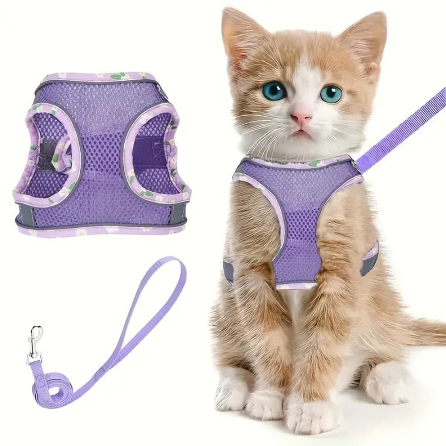 Arnês Para Cães Pequenos Malha Respirável , Colete Reflexivo Sem Tração Animais De Estimação Com Fivela Conveniente E An