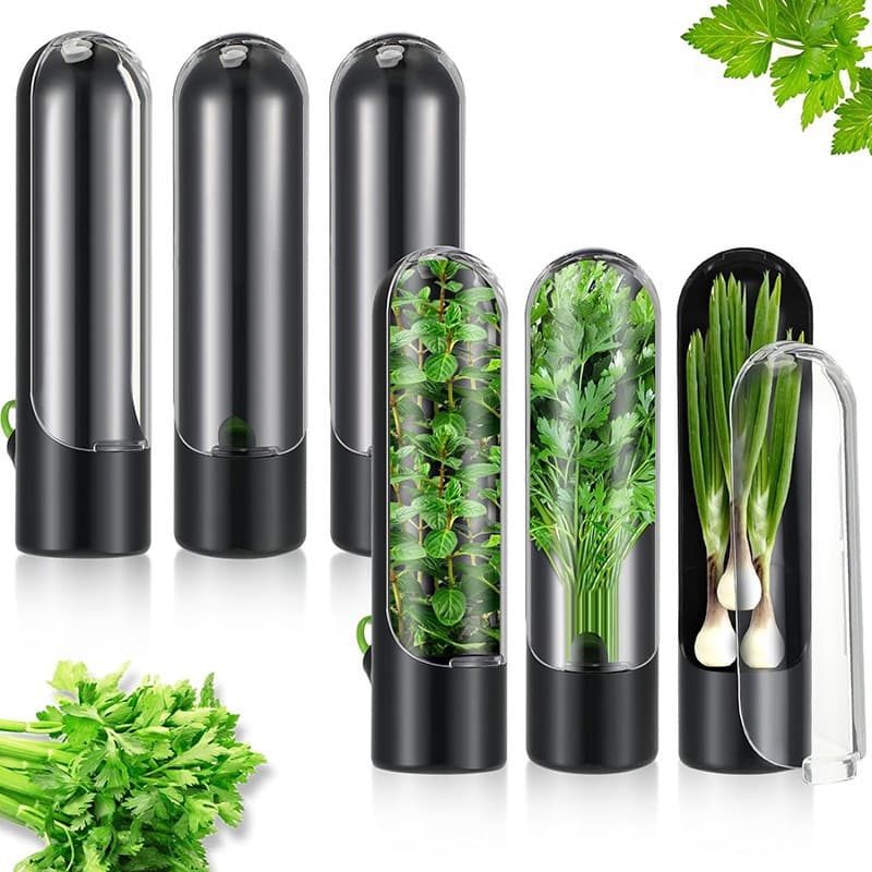 Pequena Caixa De Armazenamento Para Cebolinha E Coentro Geladeira Preservação De Vegetais Ferramenta Mágico