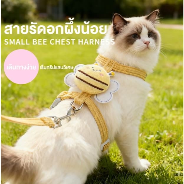 Conjunto De Arnês E Trela Para Gatos De Abelha Fofa | Colete Ajustável Animais De Estimação À Prova De Fuga Cachorrinho