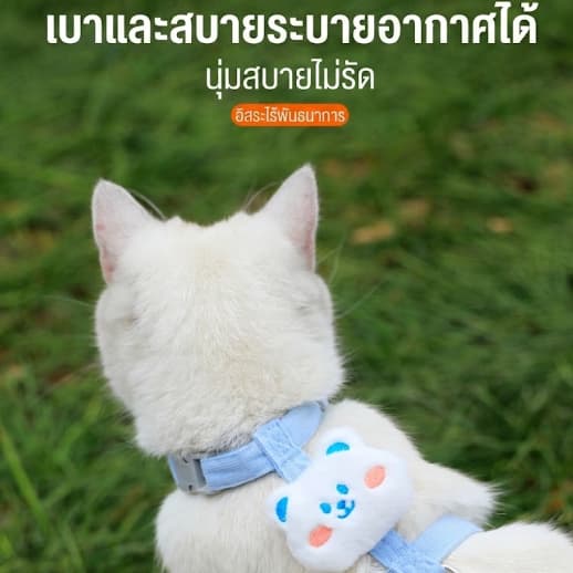 Conjunto De Arnês E Trela Para Gatos Com Asas Fofas , Colete Ajustável Anti-Perda Caminhada De Animais De Estimação Gati