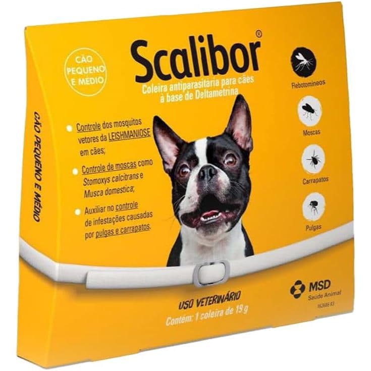 Nova Coleira Para Animais De Estimação Cachorro