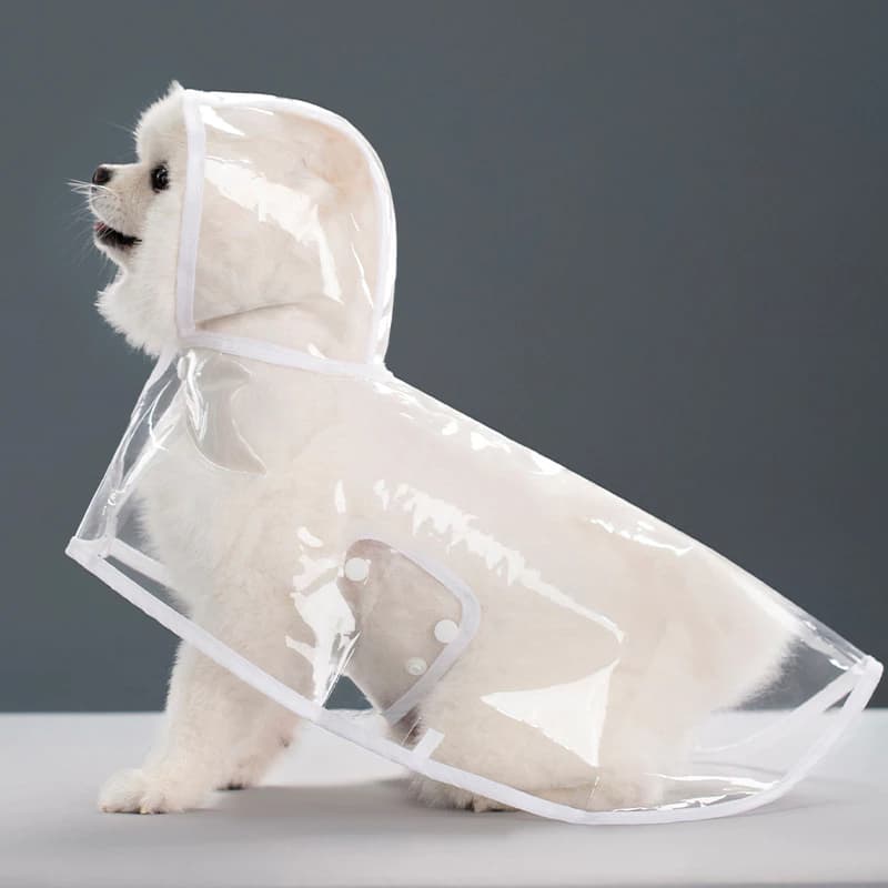 Jaqueta Chuva Pet Impermeável Transparente Capuz Para Cachorro Gato Proteção