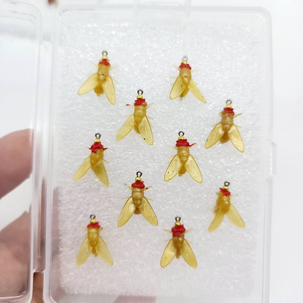 DUODUOYU 10 Pçs PVC Moscas De Pesca Com Mosca Borracha Macia Iscas Realistas Insetos Ganchos Farpados Acessórios