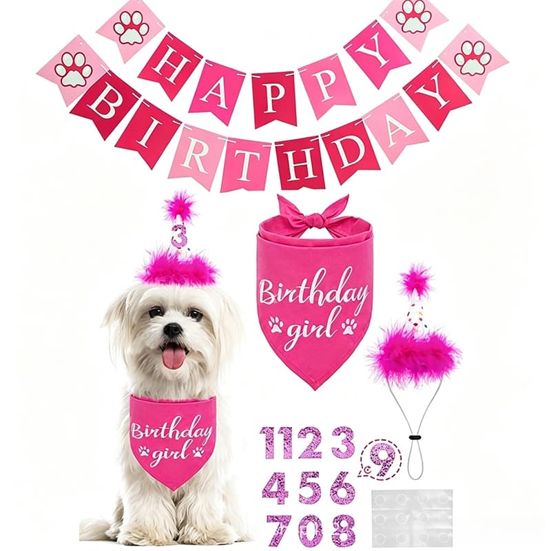 Pata Banner Fofo Festa Chapéu Número Adesivos Bandana Para Menino Menina Filhote De Cachorro Decoração De Aniversário Ac