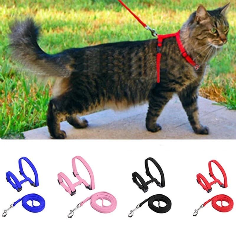 Coleira Para Cães E Gatos , Ajustável De Nylon Tração De Animais De Estimação , Gatinho Halter , Filhote De Cachorro , G