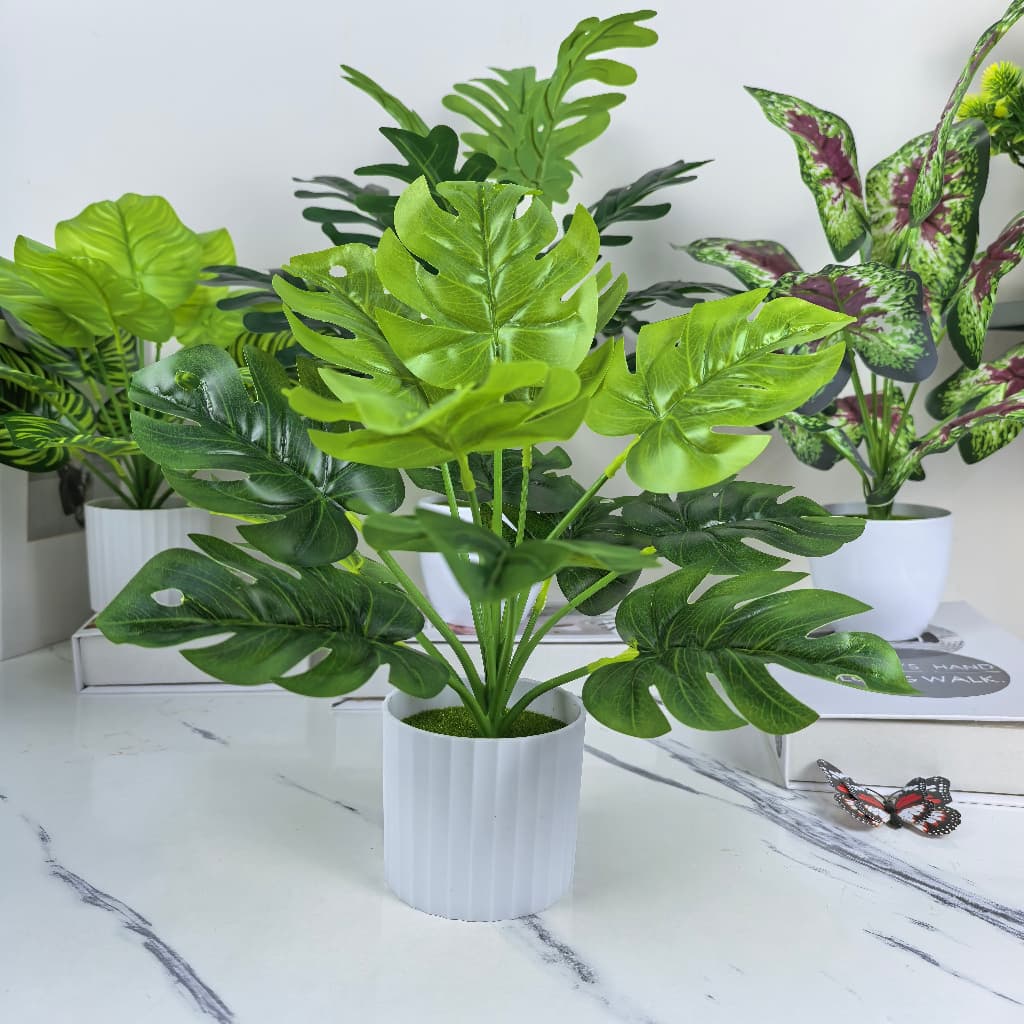Com vaso de simulação planta verde endro verde folha verde parede de fundo de casamento sala de estar sala de jantar var