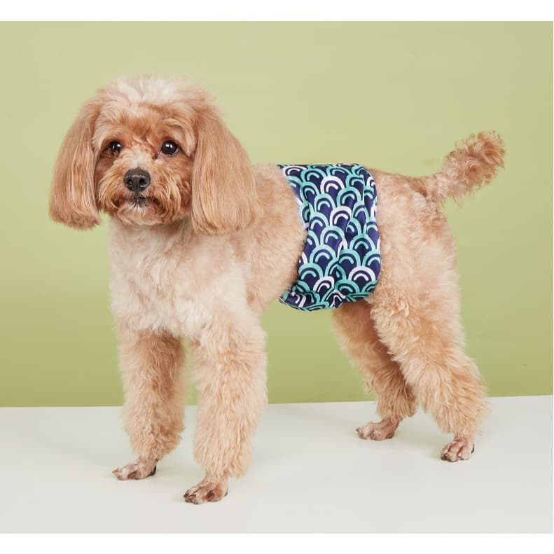 Calças de fraldas fisiológicas laváveis à prova de vazamento para cães masculinos, Velcro absorvente de água multicamada