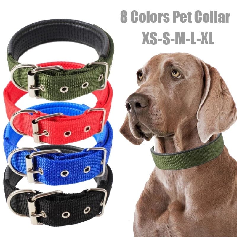 Coleiras Ajustáveis De Nylon Para Cães , Alça De Pescoço Animais De Estimação , Segurança , Pequenos E Grandes , Anel De