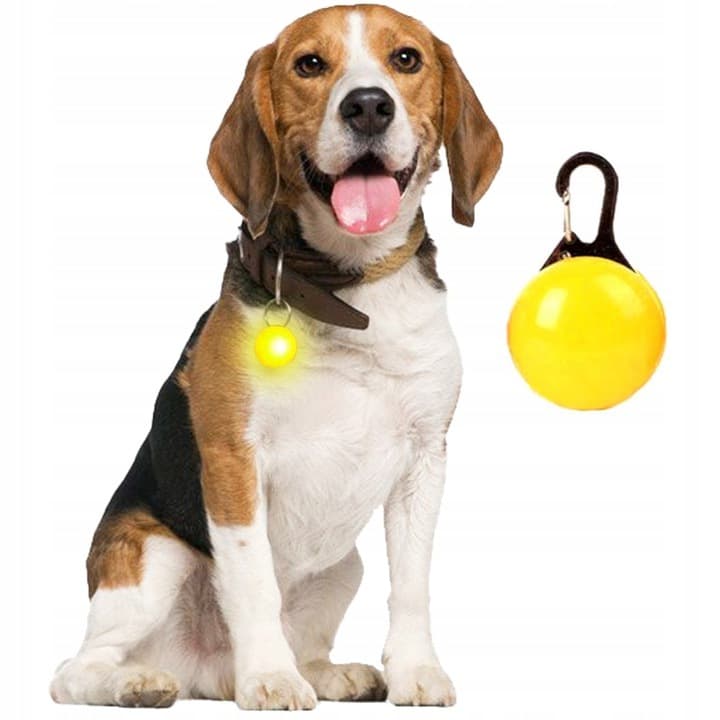 Lanterna LED De Segurança Noturna Para Animais De Estimação , Interruptor De Botão Que Brilha No Escuro , Suprimentos Br