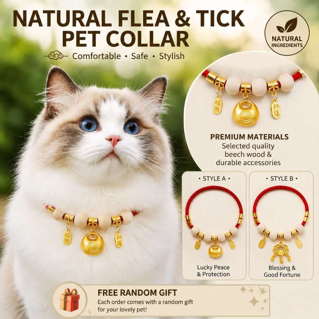 Coleira Natural De Madeira De Cânfora Para Animais De Estimação , Repelente De Pulgas E Carrapatos Gatos , Cães Pequenos