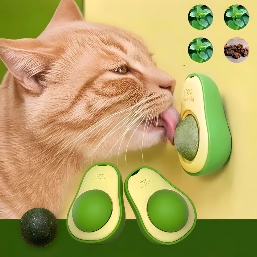 Abacate De Brinquedo Para Gatos Com Catnip Erva Gato Natural Envio imediato