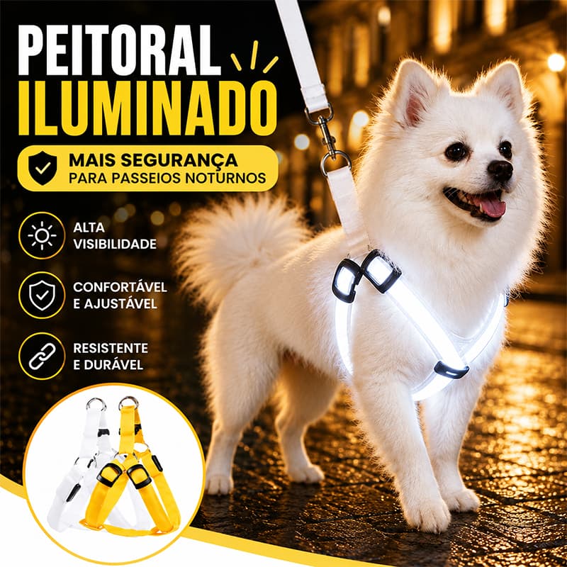 Peitoral de cachorro com LED recarregável USB, anti-perda para segurança noturna, diversos tamanhos