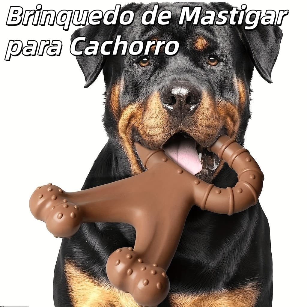 Brinquedo de Mastigar para Cachorro - Limpeza Dental, Moagem Natural e Treinamento Inteligente