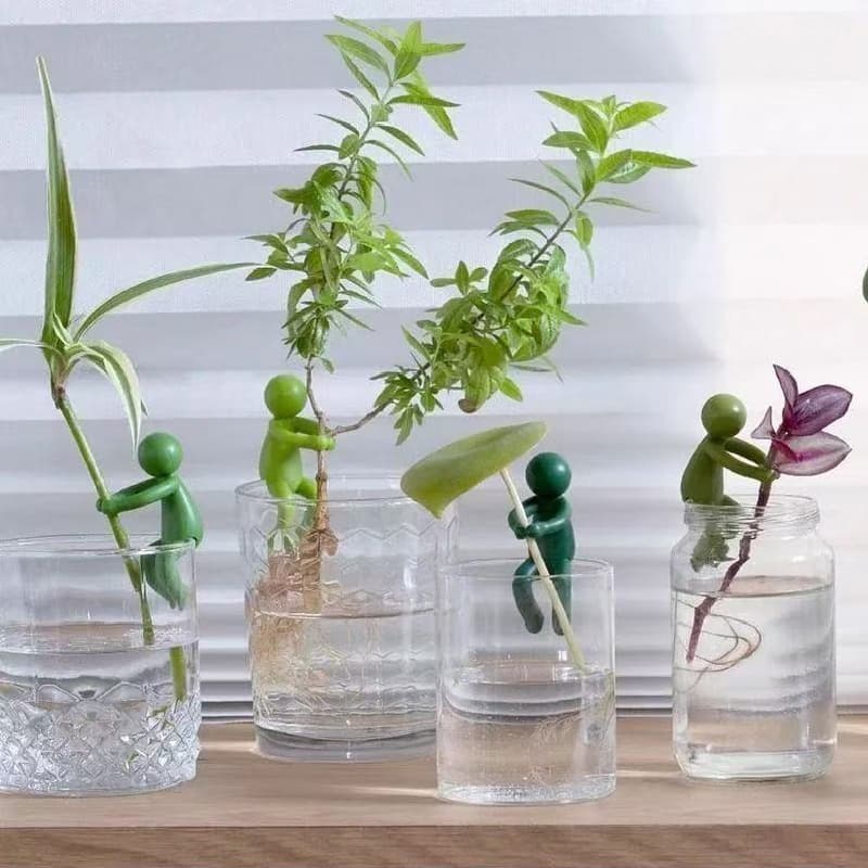 Estrutura de cultivo de plantas/suporte de vilão de plantas/suporte de decoração de plantas hidropônicas