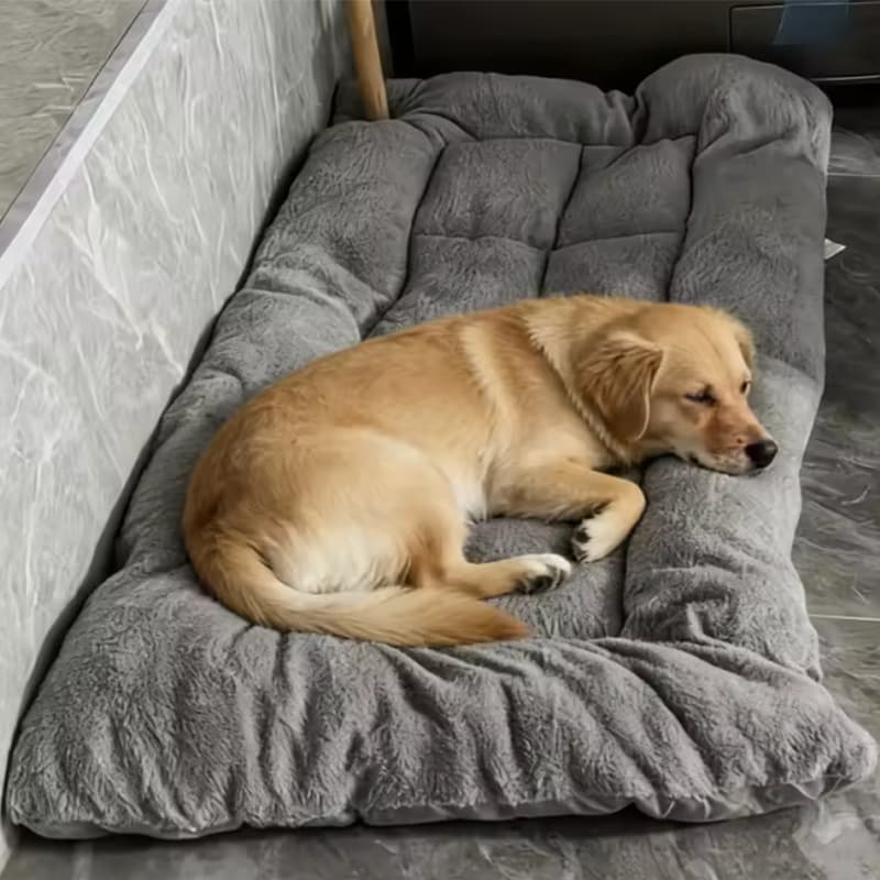 Sofá-Cama Grande Para Cães De Dupla Face De 120 60 Cm , Tapete De Dormir Animais De Estimação De Poliéster De Pelúcia Gr