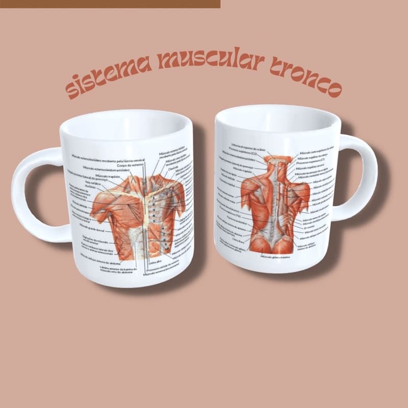 Caneca porcelana anatomia sistema muscular tórax e costas frente e verso