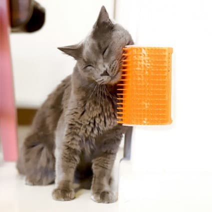 Escova massageadora para gatos - várias cores - inclui catnip - escova para gatos - escova remoção de pêlos para gatos