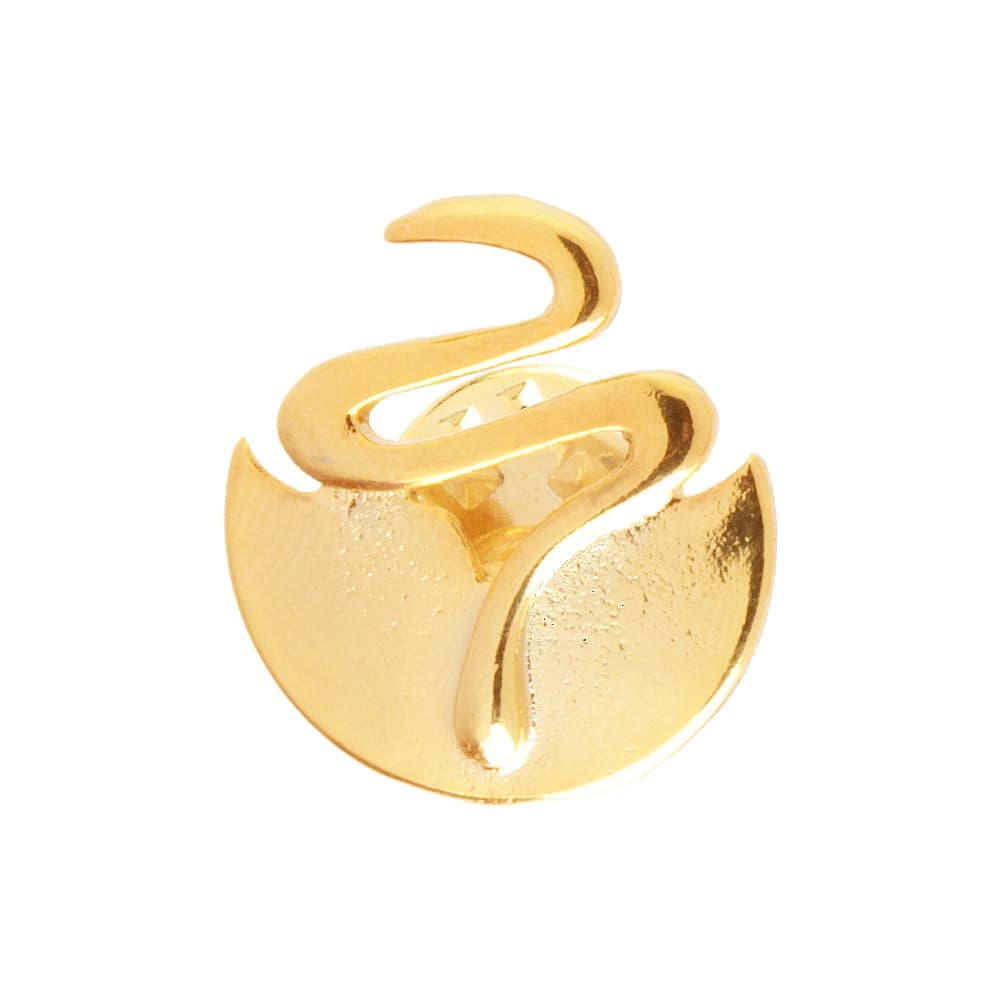 Broche biologia biologa folheado em ouro 18k