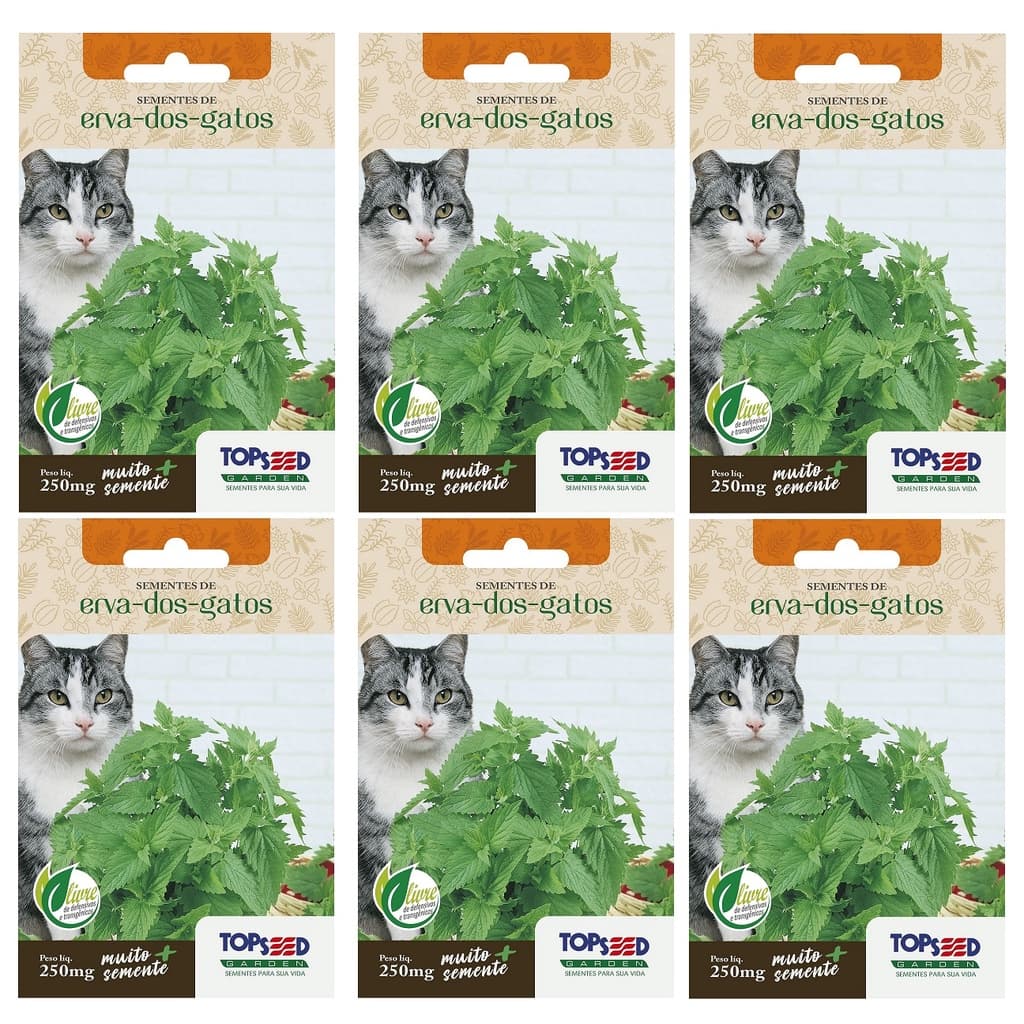 6X Sementes Erva Dos Gatos (Nepeta Cataria) Catnip TOPSEED
