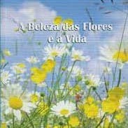livro - A luz entre as flores
