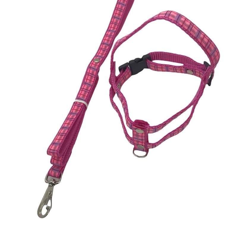 Coleira Peitoral + Guia De Cachorros Ajustável Anti-puxão Easy Walk Cães E Cachorro