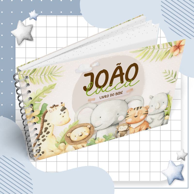 Kit Maternidade Afetiva Caderneta de saúdee livro do bebê menino personalizado com nome vários temas